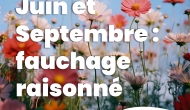 Fauchage raisonné