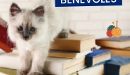 Réunion d'information bénévoles 