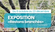 Exposition : "Restons branchés"