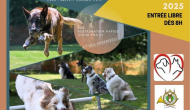 Concours Canin d'obéissance