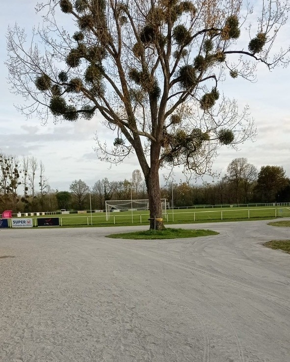 Complexe de la Perrière